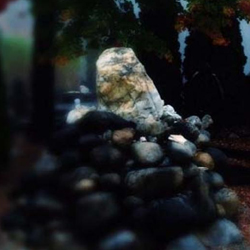 tinamarie sanctuary