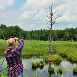 wetland preserve
