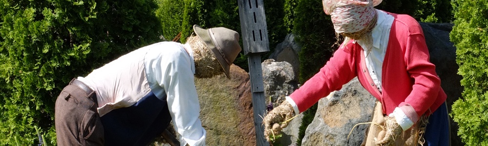 the potato farmers